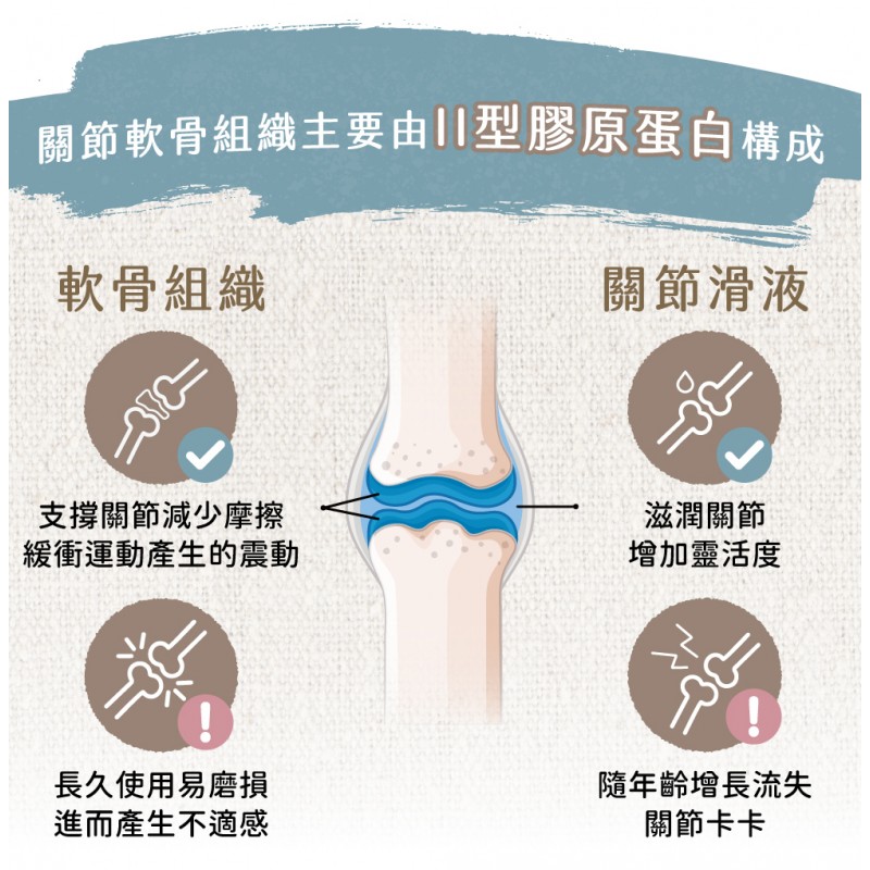 倍力優彈力犬貓關節專護保健粉 (30粒)